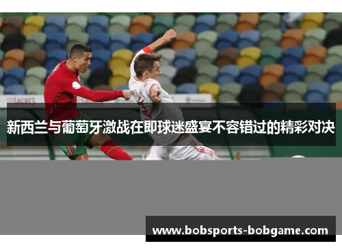 新西兰与葡萄牙激战在即球迷盛宴不容错过的精彩对决